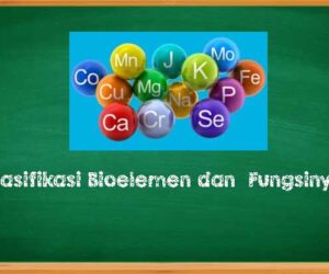Klasifikasi Bioelemen