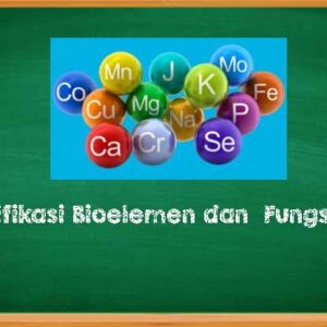 Klasifikasi Bioelemen