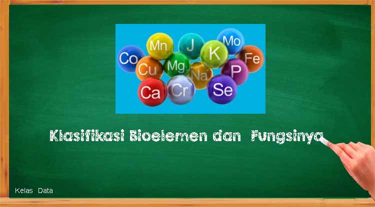 Klasifikasi Bioelemen