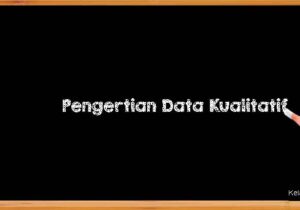 Pengertian Data Kualitatif