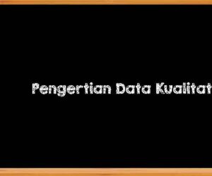 Pengertian Data Kualitatif