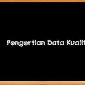 Pengertian Data Kualitatif