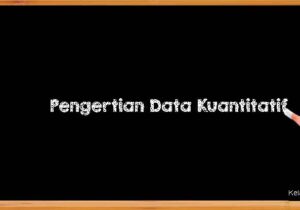 Pengertian Data Kuantitatif 