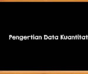 Pengertian Data Kuantitatif