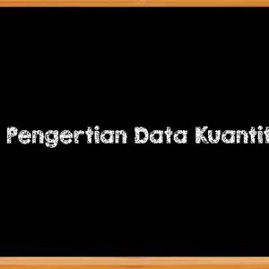 Pengertian Data Kuantitatif 