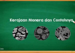 Karakteristik Kerajaan Monera