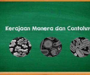 Karakteristik Kerajaan Monera