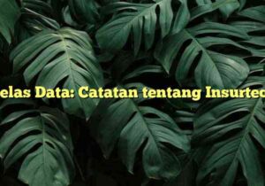 Kelas Data: Catatan tentang Insurtech