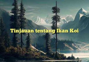 Tinjauan tentang Ikan Koi