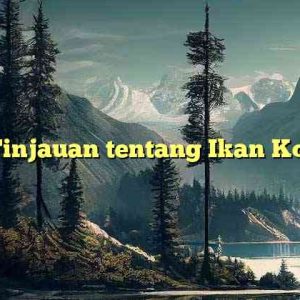 Tinjauan tentang Ikan Koi