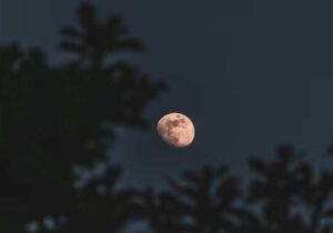 gerhana bulan