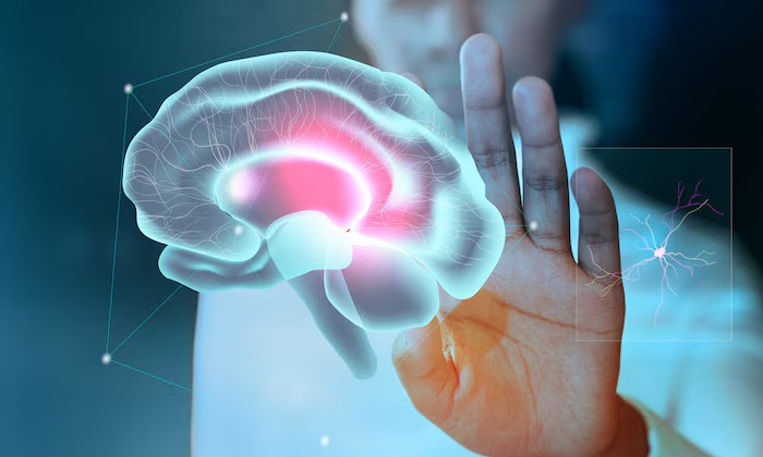 neuromorfik dan revolusi perangkat keras